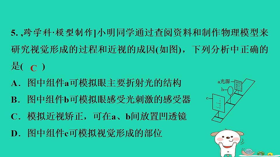 17844157第6页