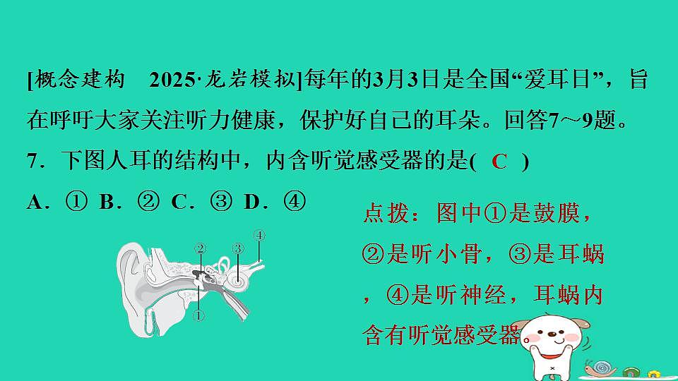 17844157第8页