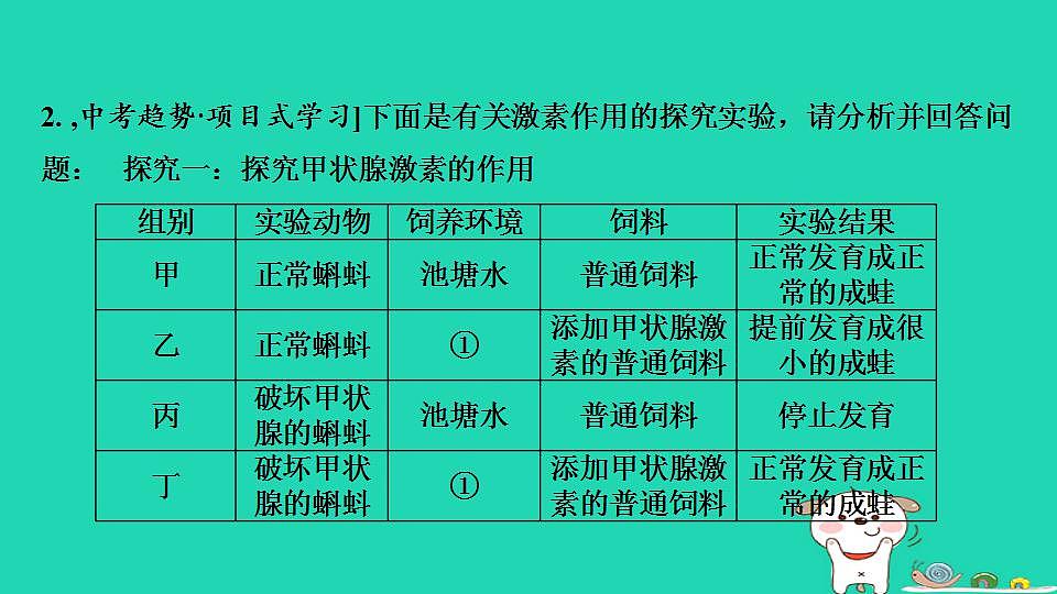 17844158第5页