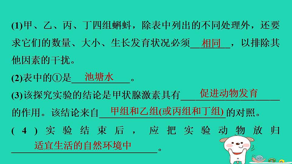 17844158第6页