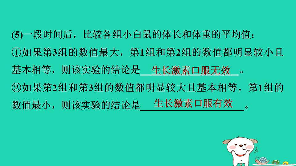 17844158第8页