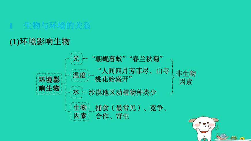 17844161第3页