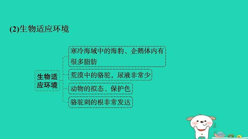 17844161第4页