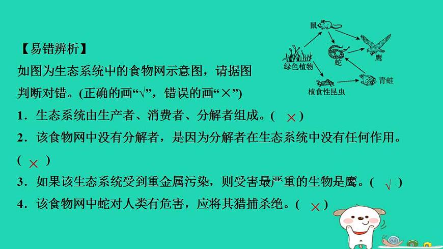 17844161第8页