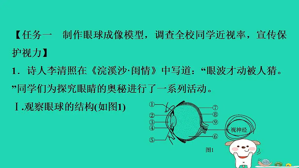 17844163第3页