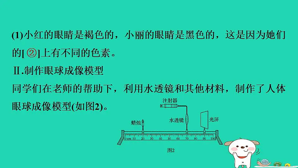 17844163第4页