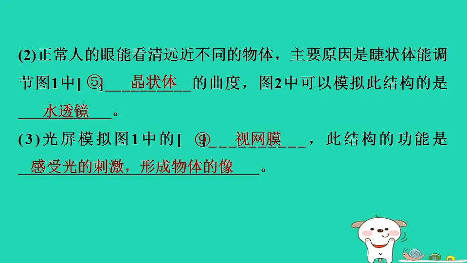 17844163第5页
