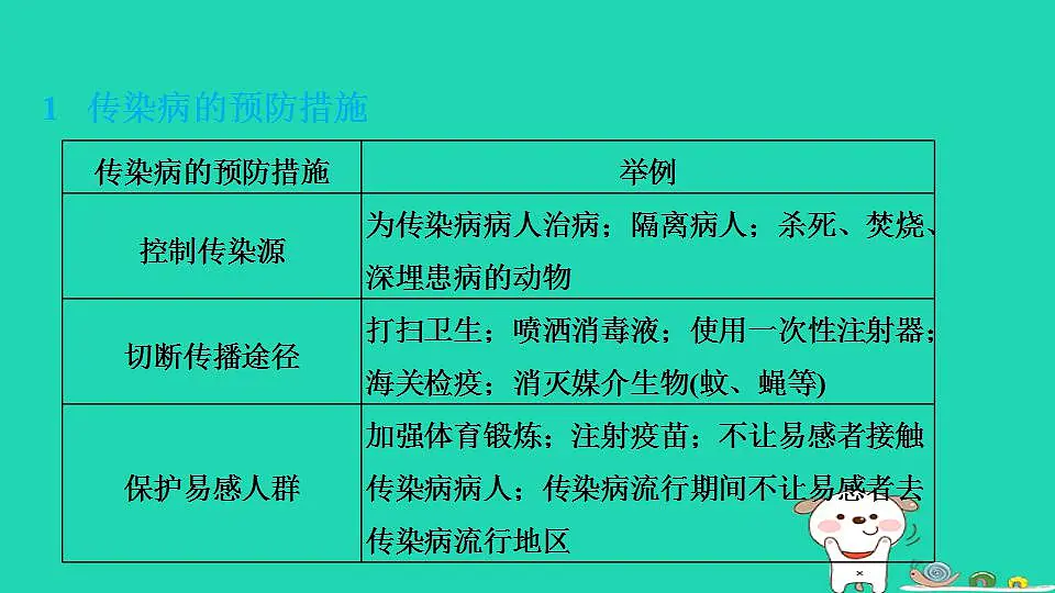 17844166第3页