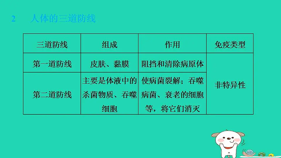 17844166第4页
