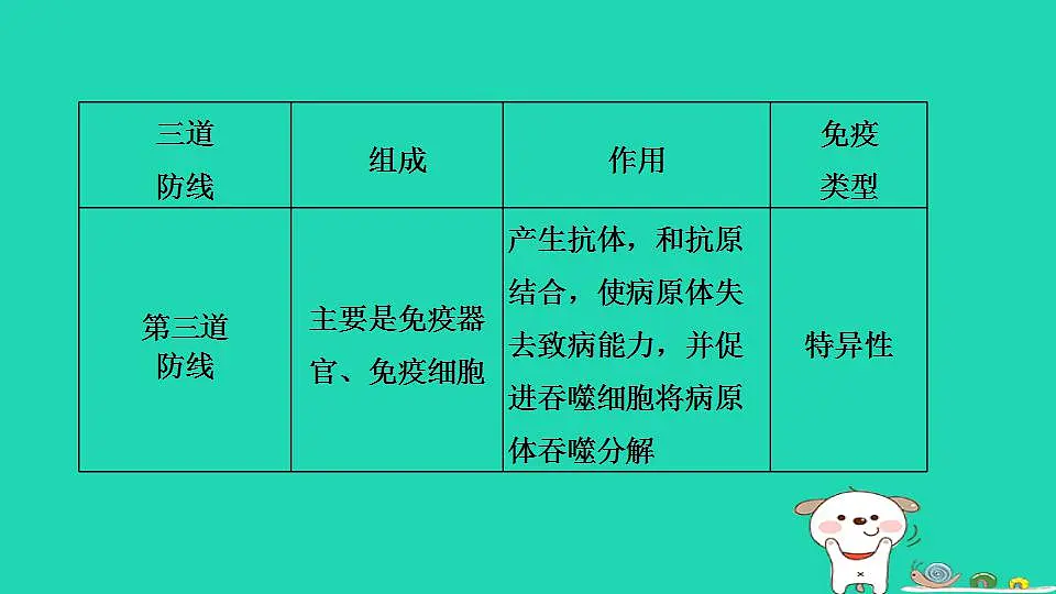 17844166第5页