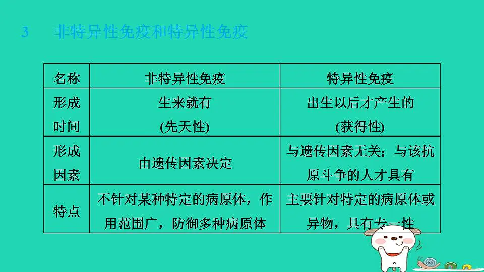 17844166第6页