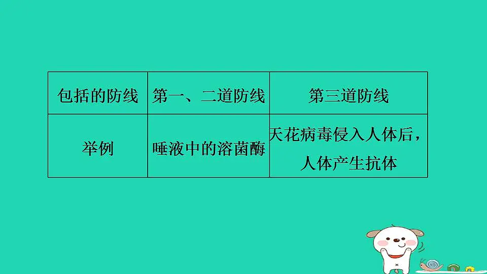 17844166第7页