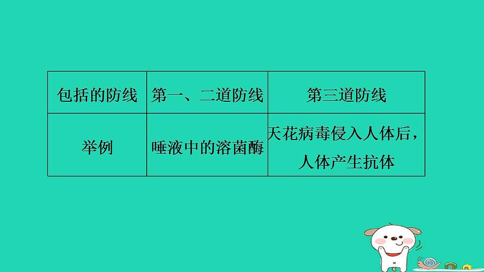17844166第7页