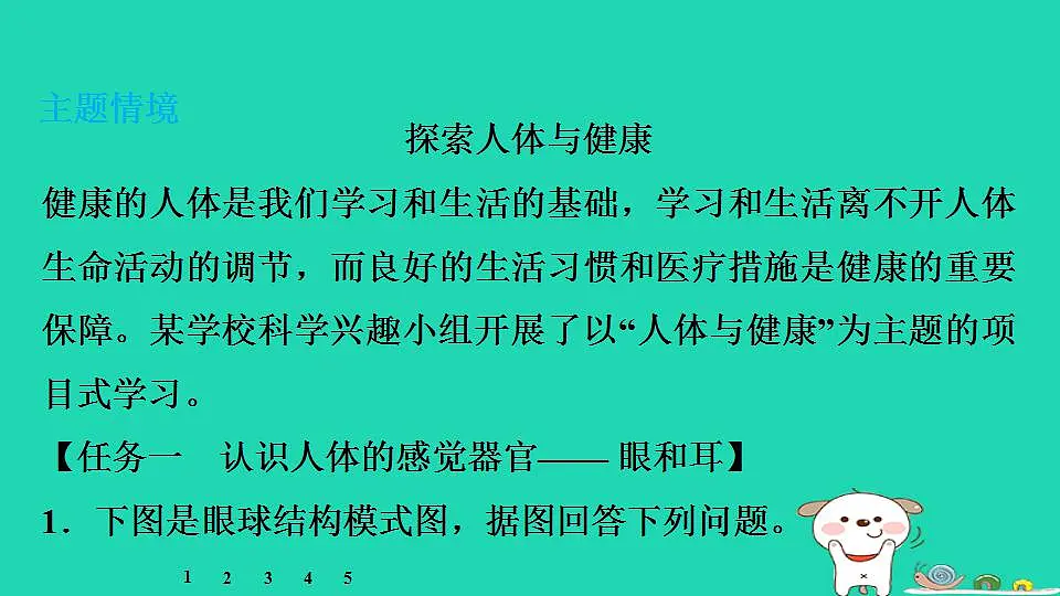 17844167第3页