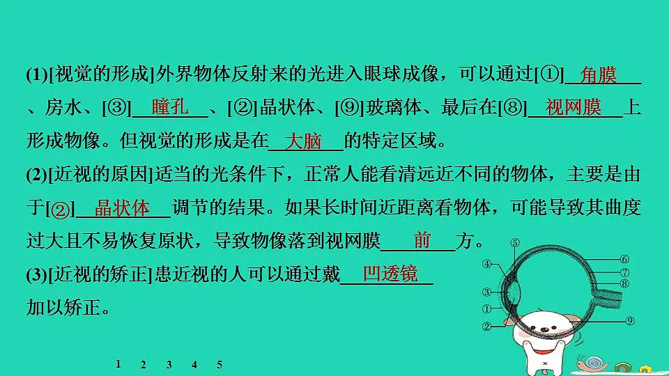 17844167第4页