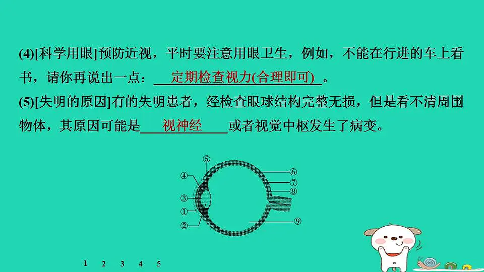 17844167第5页