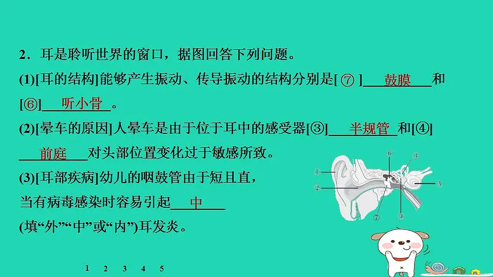 17844167第6页