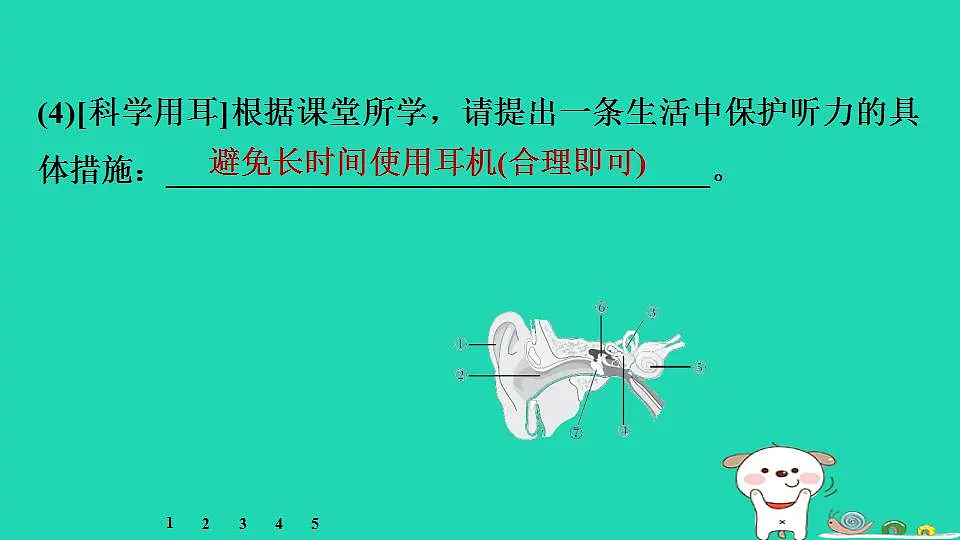 17844167第7页