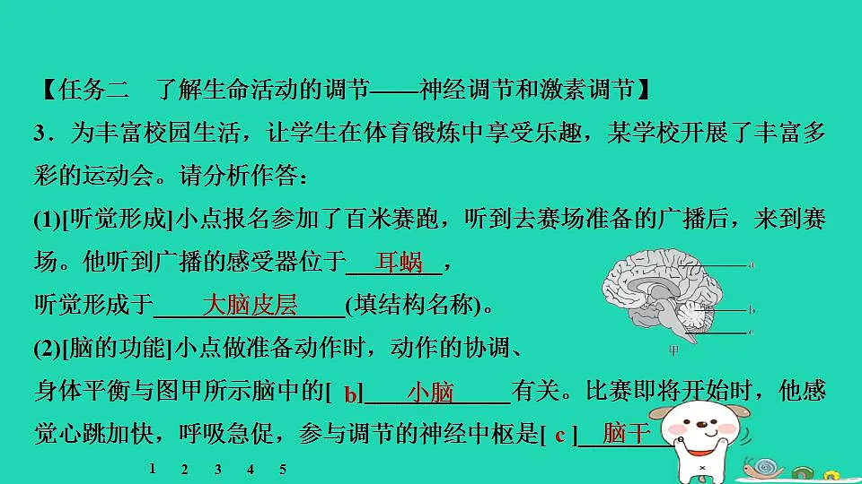 17844167第8页