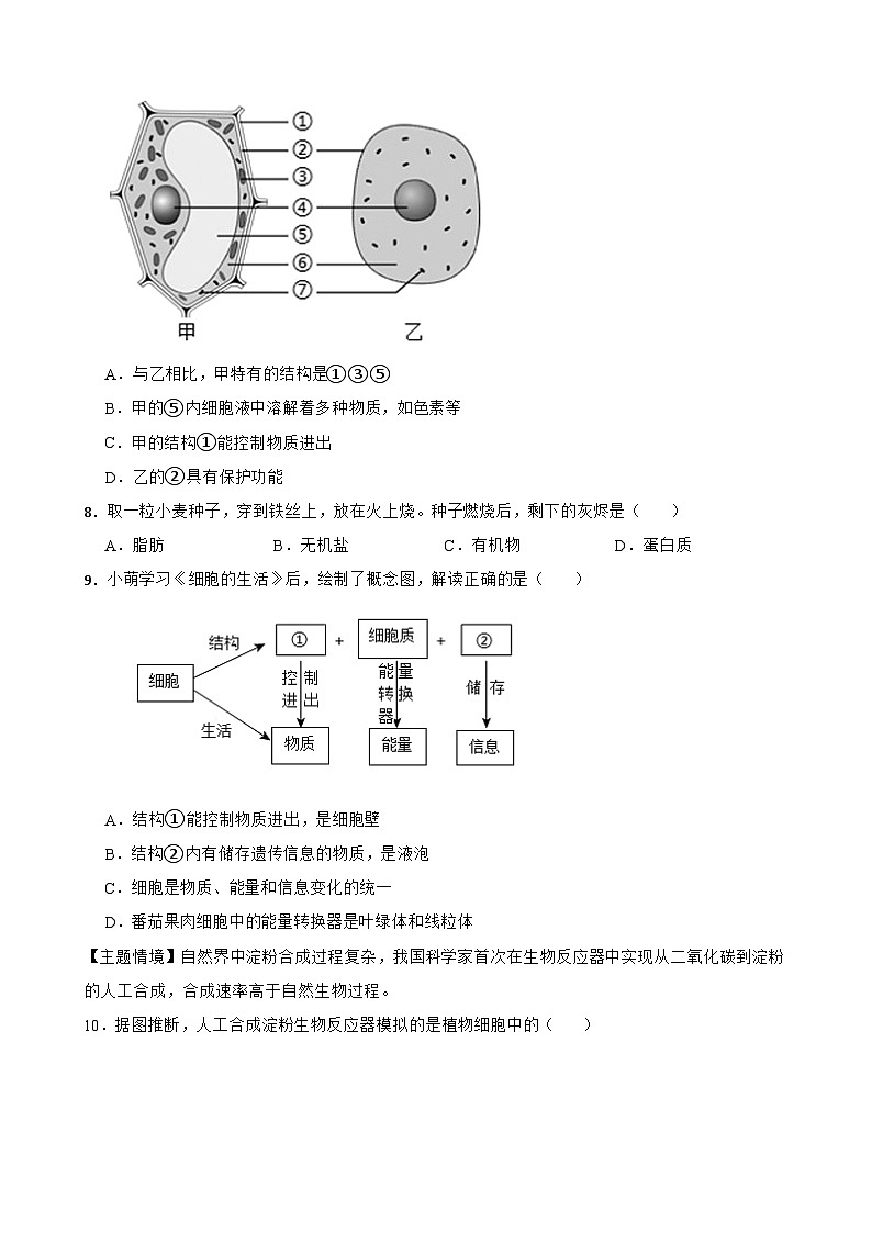 四川省甘孜藏族自治州德格县中学2025-2026学年上学期12月份七年级生物期末检测练习试卷第3页