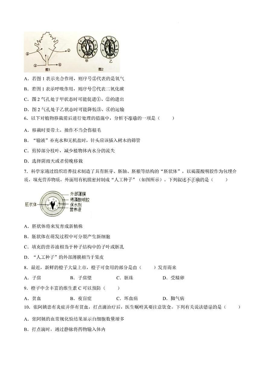 2025-2026学年广东省揭阳市普宁市九年级上学期1月期末生物试题（含答案）第3页