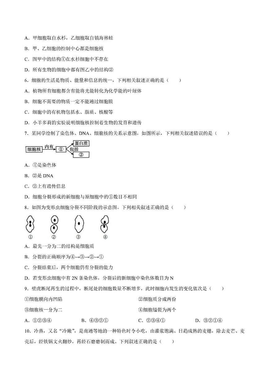 2025-2026学年天津市河北区七年级上学期生物期末试题（含答案）第2页