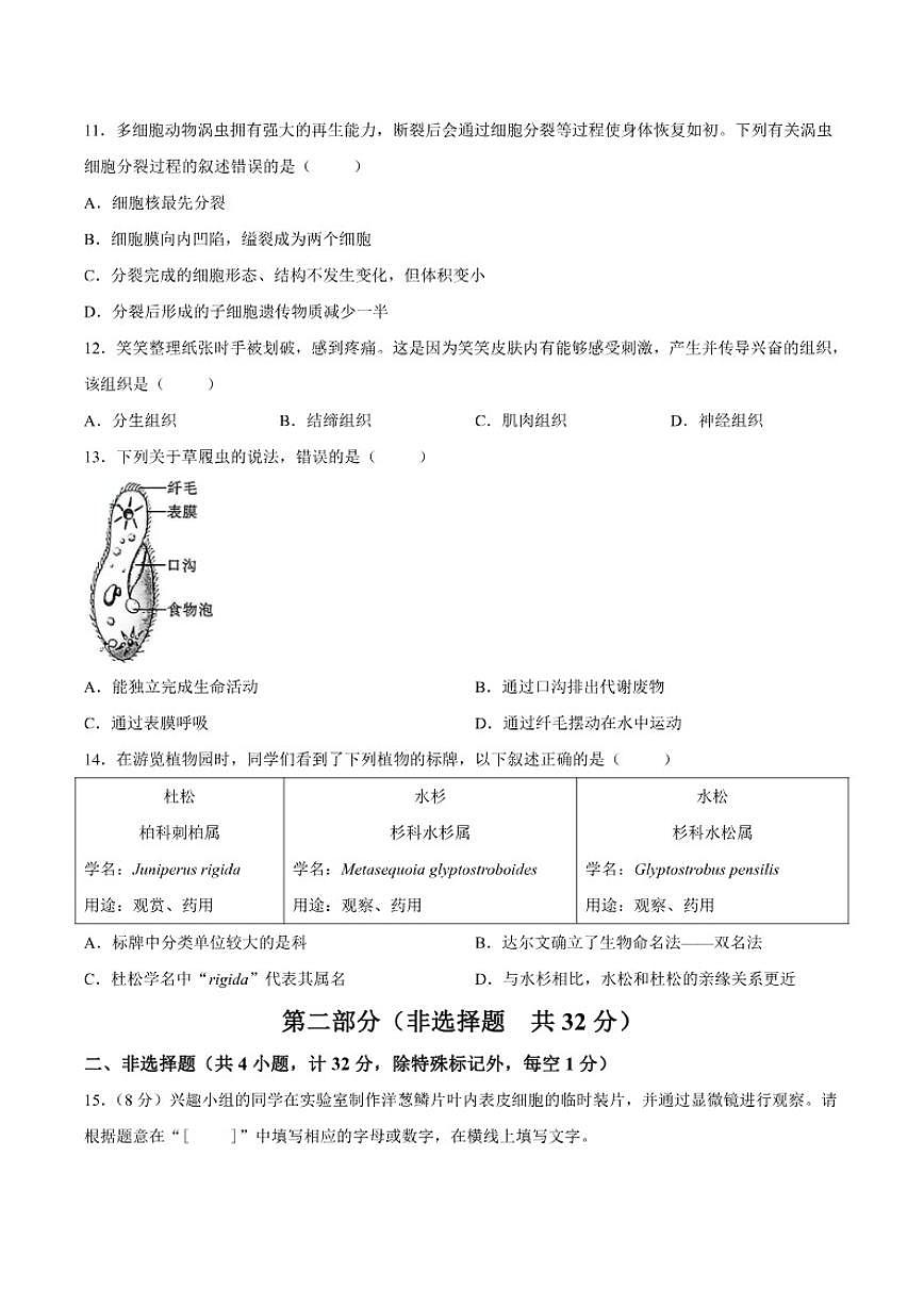 2025-2026学年陕西省渭南市临渭区七年级上学期期末教学质量调研生物试题（含答案）第3页