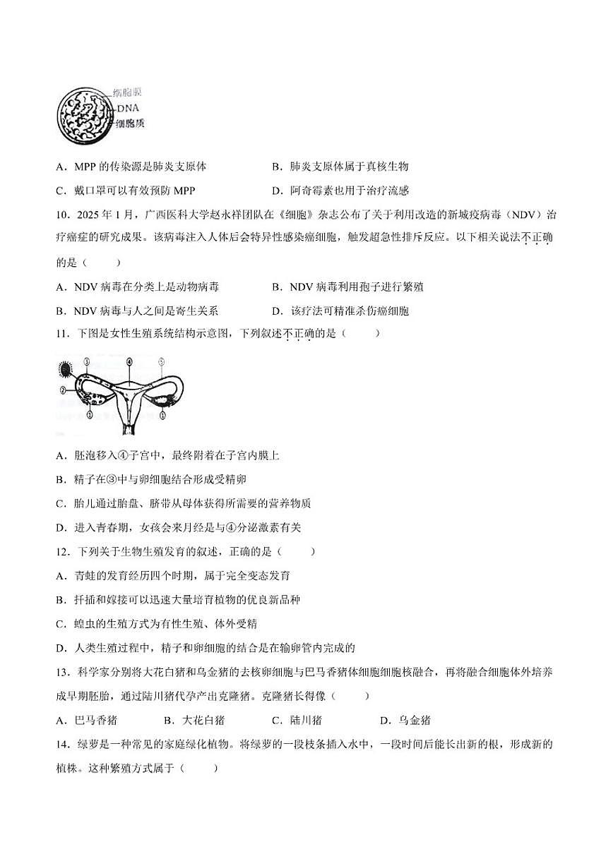 2025-2026学年广东省揭阳市惠来县八年级上学期生物期末试题（含答案）第3页