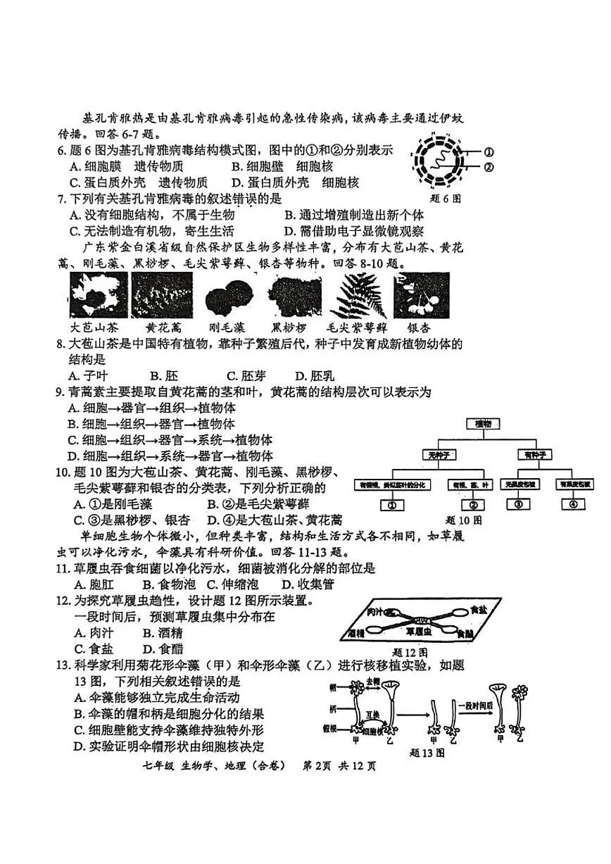 2025-2026学年广东省深圳市宝安区七年级上学期期末生物_(含答案_)试卷第2页