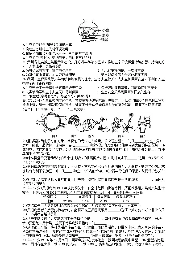 贵州省黔东南苗族侗族自治州2025-2026学年八年级上学期1月期末生物试题（含答案）第3页