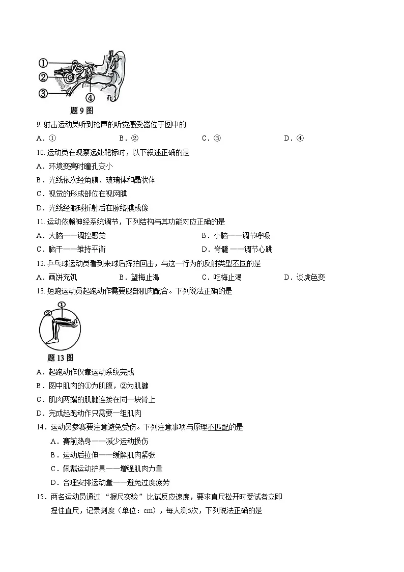 广东省深圳市福田区2025_2026学年八年级上学期1月期末生物试卷 （文字版，含答案）第3页