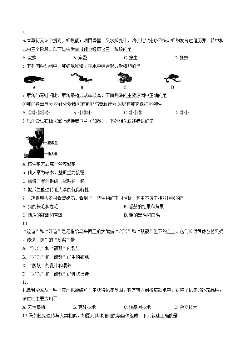 广东省梅州市梅县区外国语学校2025_2026学年八年级上学期生物月考综合习题（文字版，含答案）第2页