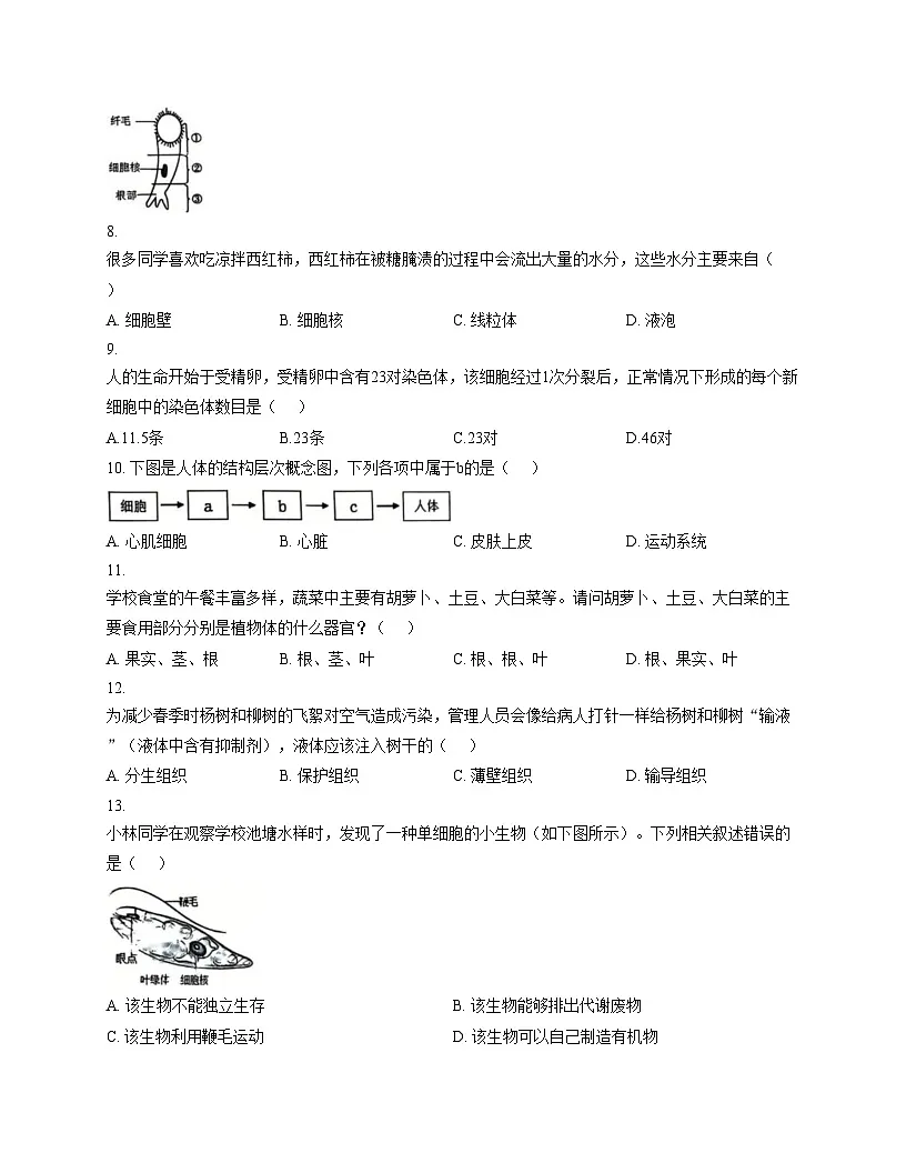 吉林省松原市前郭尔罗斯蒙古族自治县2025_2026学年七年级上学期1月期末生物试题（文字版，含答案）第2页