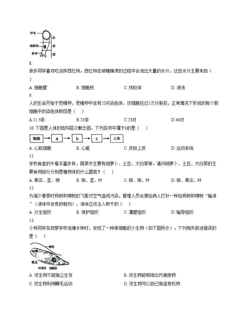 吉林省松原市前郭尔罗斯蒙古族自治县2025_2026学年七年级上学期1月期末生物试题（文字版，含答案）第2页