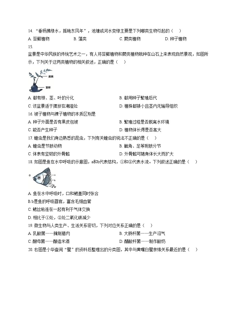 吉林省松原市前郭尔罗斯蒙古族自治县2025_2026学年七年级上学期1月期末生物试题（文字版，含答案）第3页