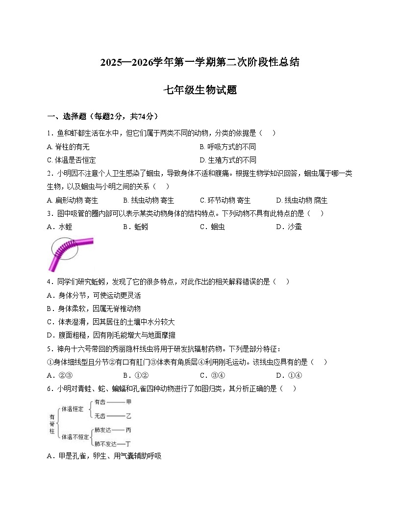山东省德州市齐河县三校联考2025_2026学年七年级上学期第二次阶段性总结生物试题(文字版含答案)第1页