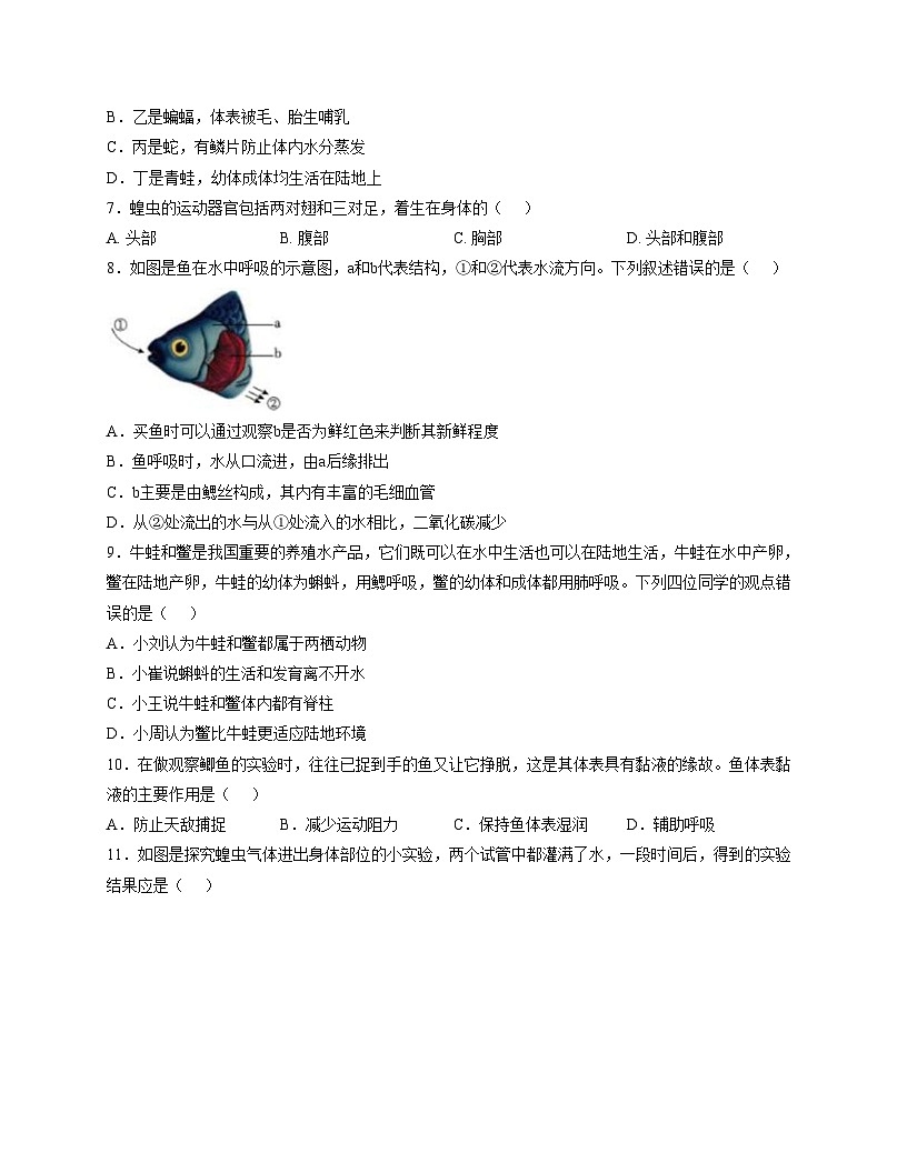 山东省德州市齐河县三校联考2025_2026学年七年级上学期第二次阶段性总结生物试题(文字版含答案)第2页