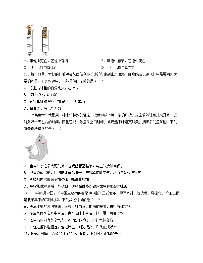 山东省德州市齐河县三校联考2025_2026学年七年级上学期第二次阶段性总结生物试题(文字版含答案)第3页