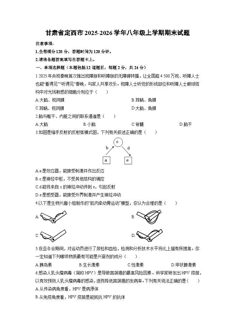 2025-2026学年甘肃省定西市八年级上学期期末生物试卷（学生版）第1页