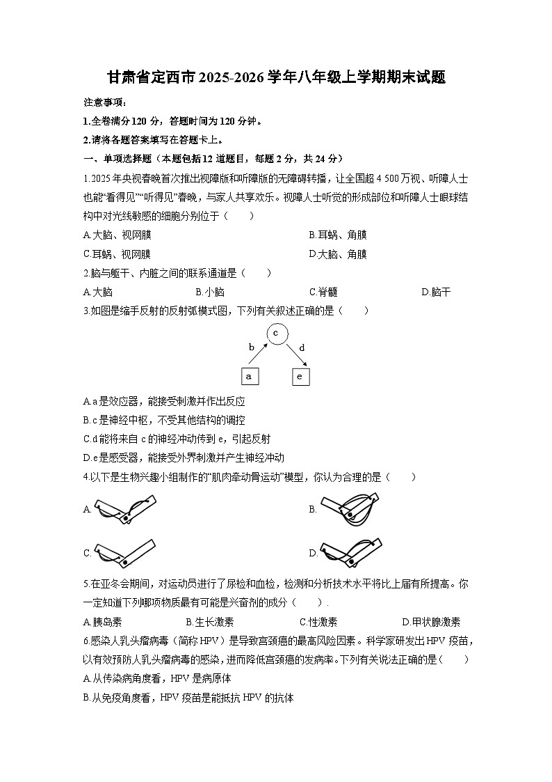 2025-2026学年甘肃省定西市八年级上学期期末生物试卷（学生版）第1页