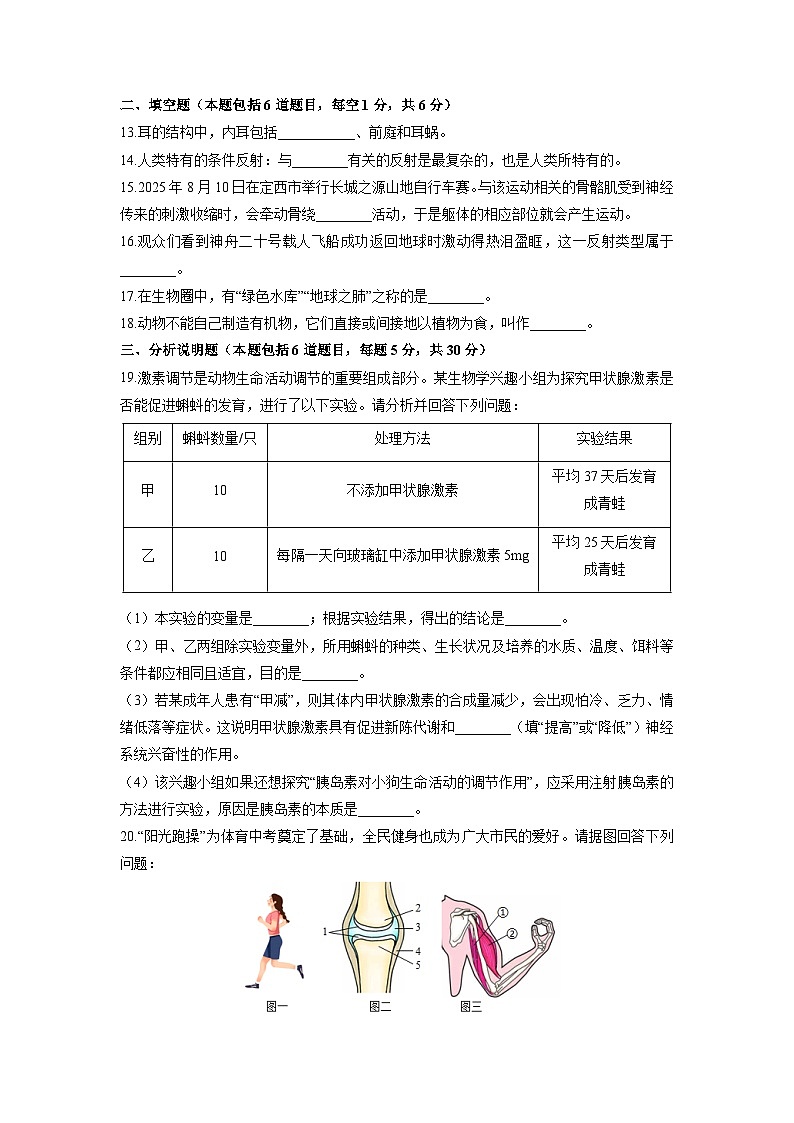 2025-2026学年甘肃省定西市八年级上学期期末生物试卷（学生版）第3页