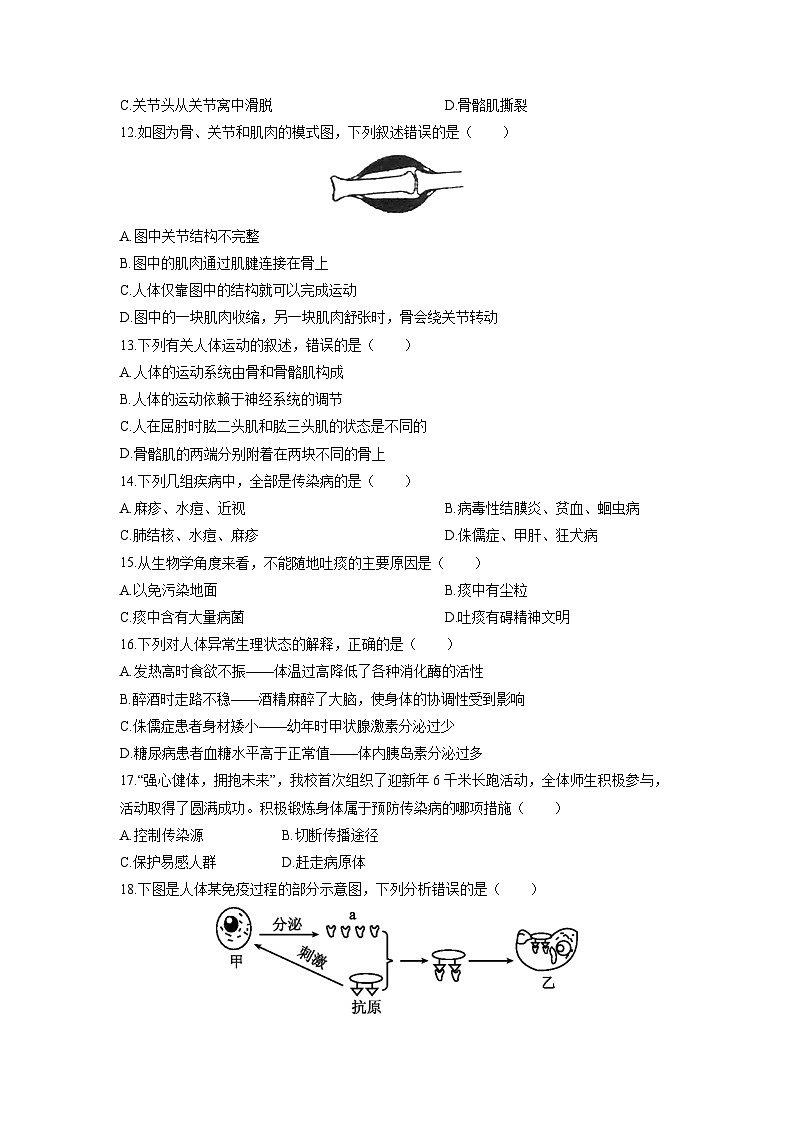 2025-2026学年湖南省衡阳市八年级上学期期中生物试卷（学生版）第3页