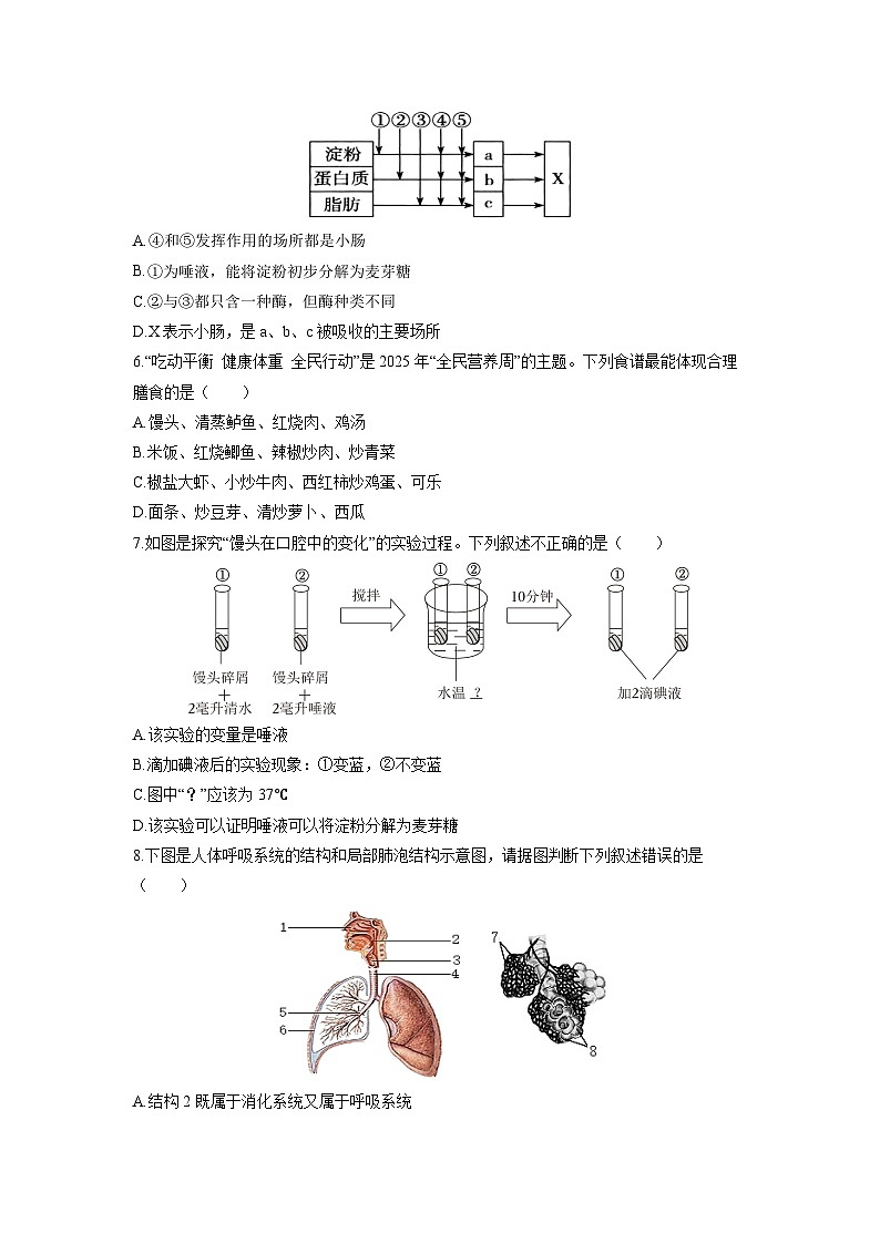 2025-2026学年山东省德州市天衢新区八年级上学期期中生物试卷（学生版）第2页