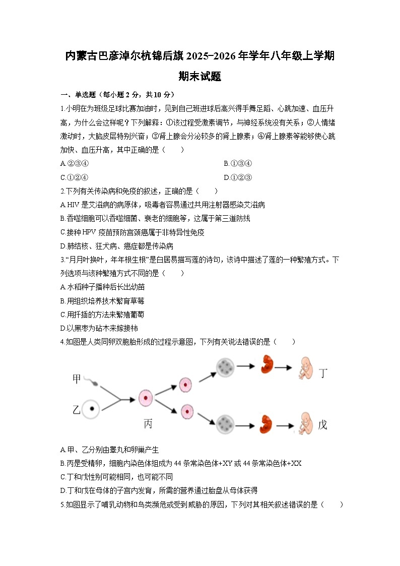 2025-2026学年内蒙古巴彦淖尔杭锦后旗八年级上学期期末生物试卷（学生版）第1页