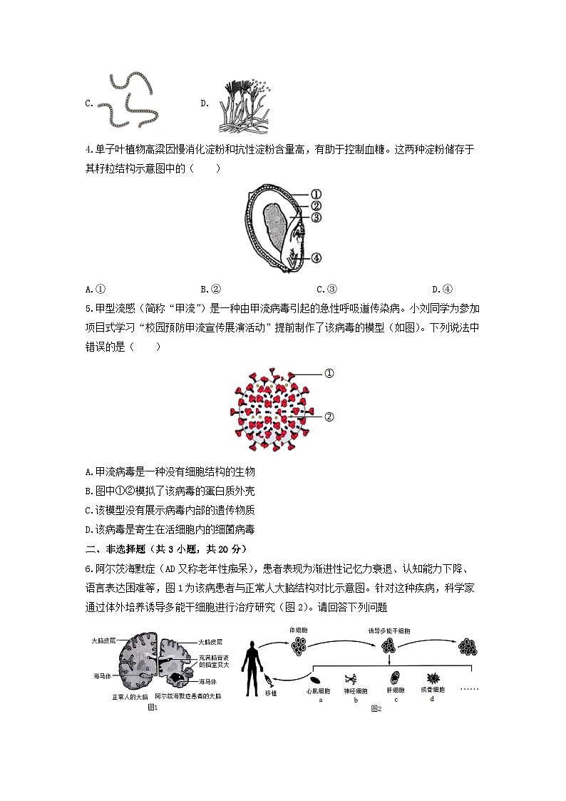 2025-2026学年内蒙古呼和浩特市七年级上学期期末考试生物试卷（学生版）第2页