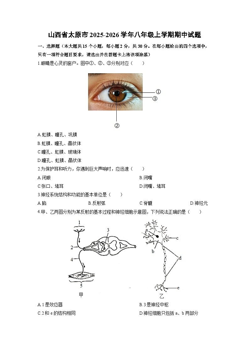2025-2026学年山西省太原市八年级上学期期中生物试卷（学生版）第1页
