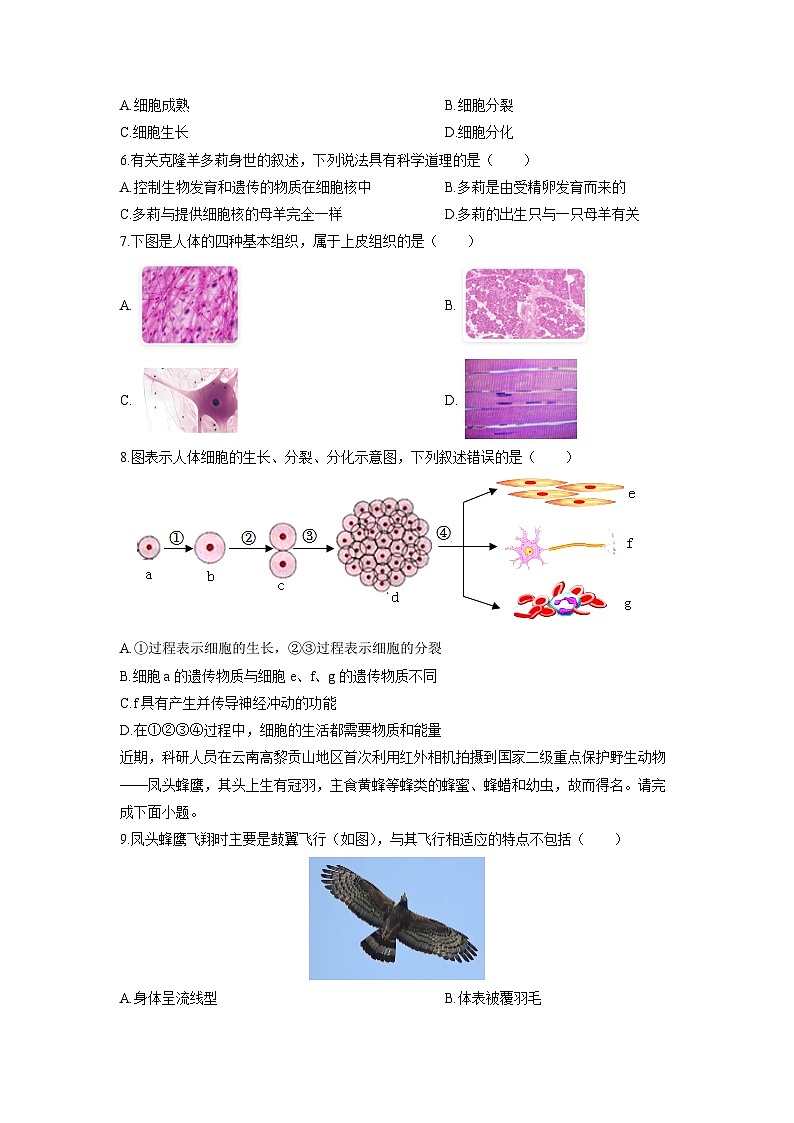 2025-2026学年广东省深圳市福田区七年级上学期期末考试生物试卷（学生版）第2页