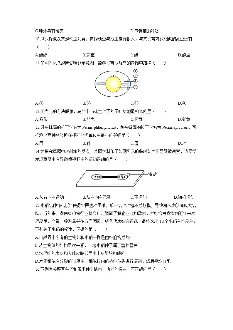2025-2026学年广东省深圳市福田区七年级上学期期末考试生物试卷（学生版）第3页