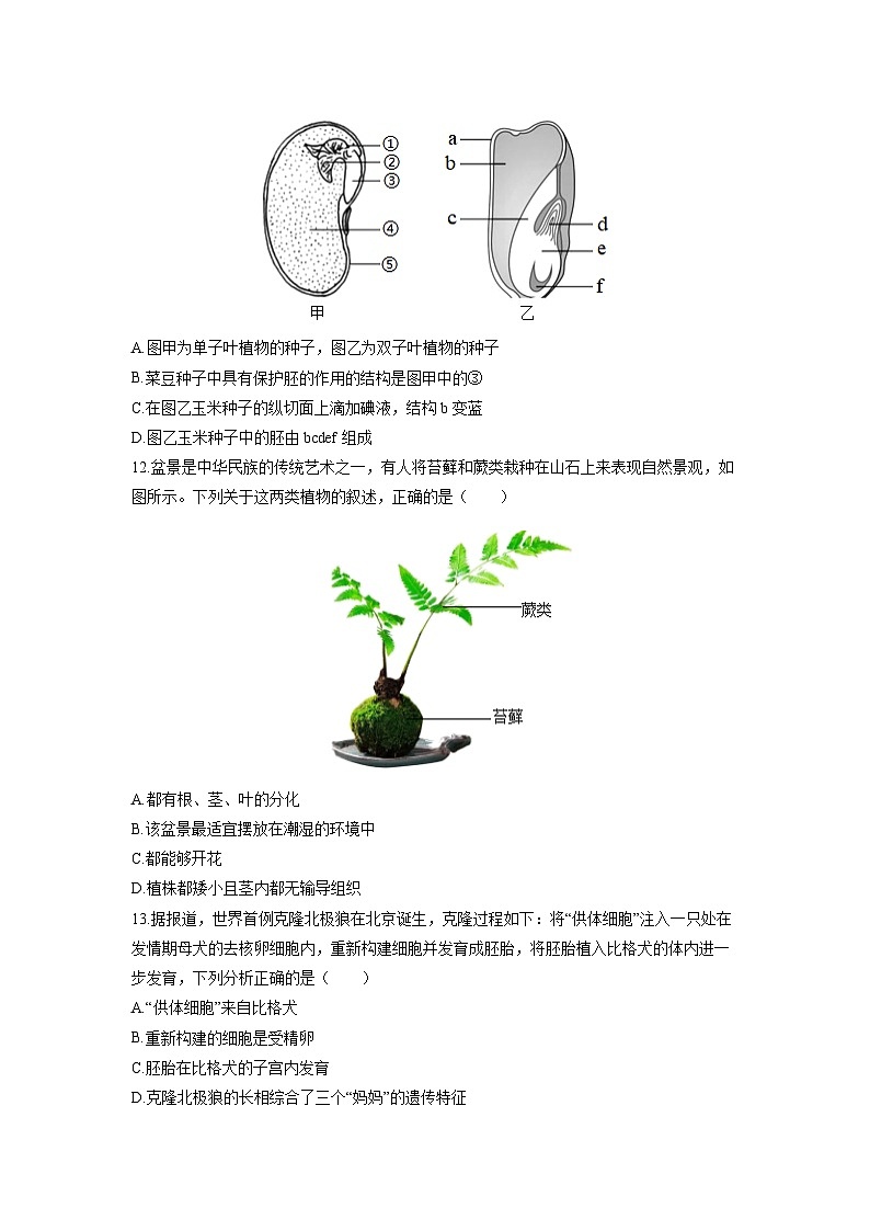 2025-2026学年山西省晋中市寿阳县七年级上学期期末考试生物试卷（学生版）第3页
