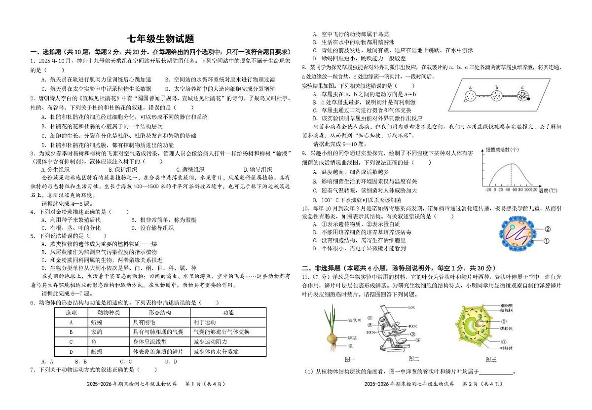 湖北省黄石市黄石港区2025-2026学年七年级上学期1月期末生物试题第1页